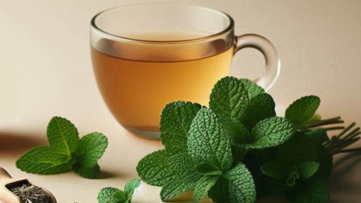 Lemon Balm for Cold Sores: Natural Antiviral Relief and Healing