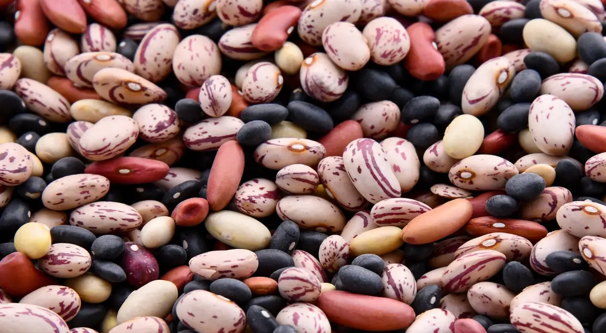 Lysine/Arginine Guide for Lima Beans, Cooked