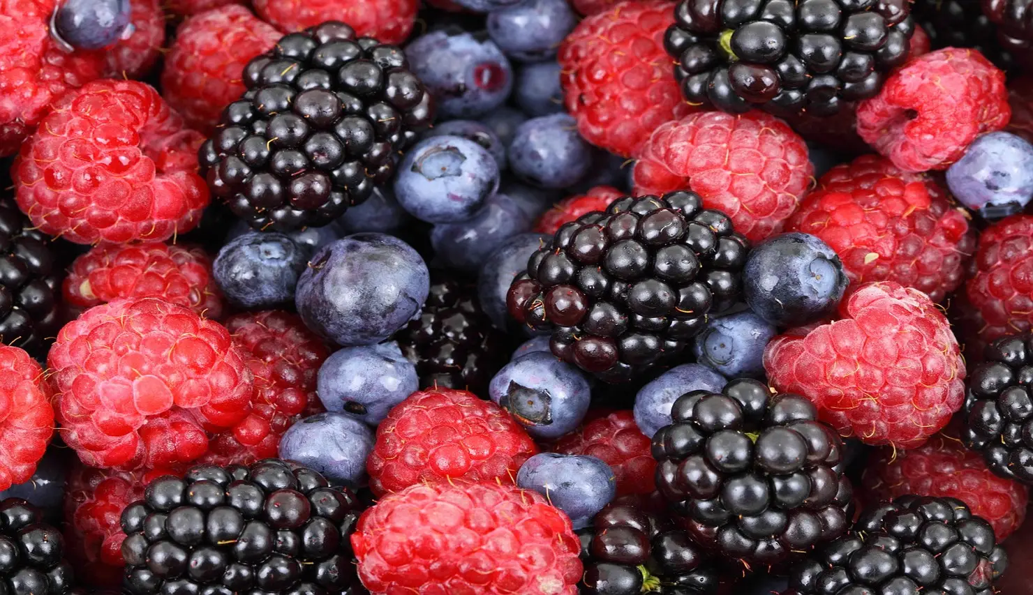 Lysine/Arginine Guide for Blueberries