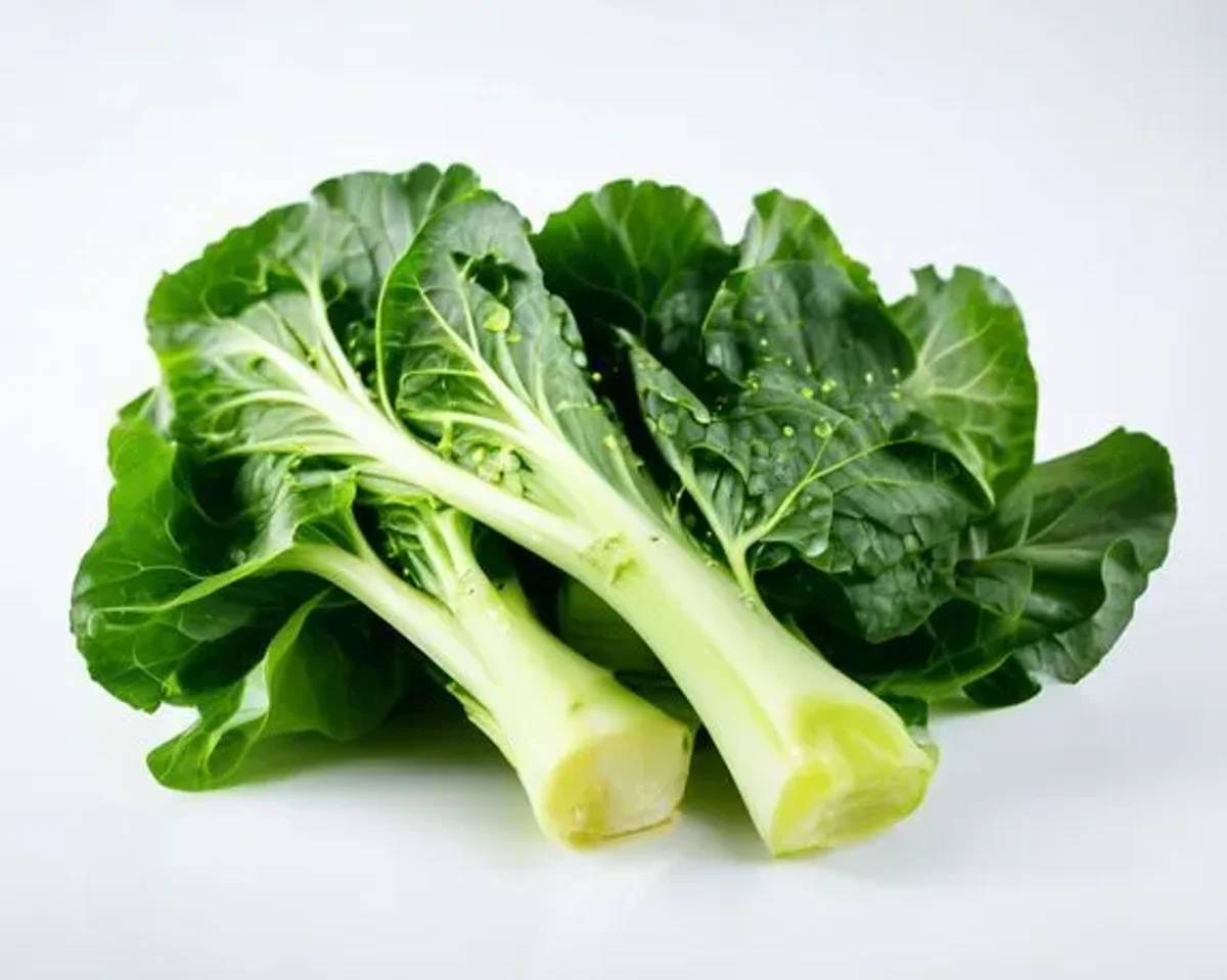 Bok Choy