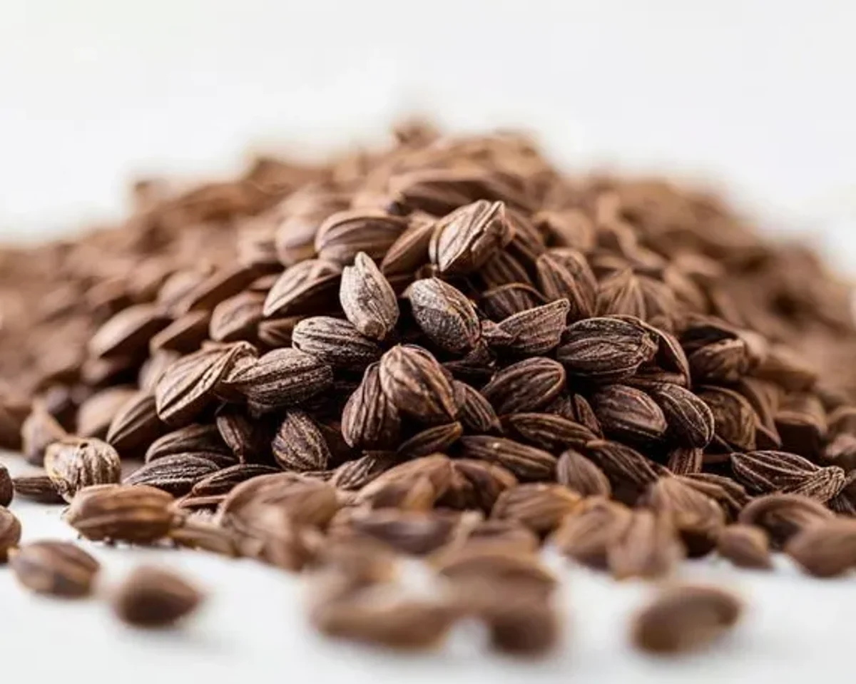 Carob Seeds