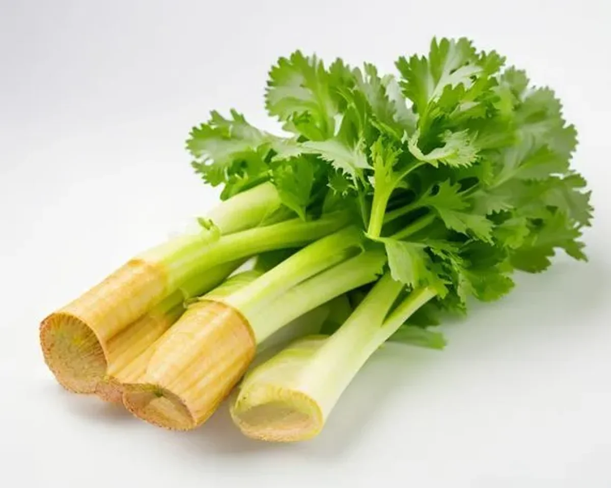 Celery lysine-arginine content for herpes management