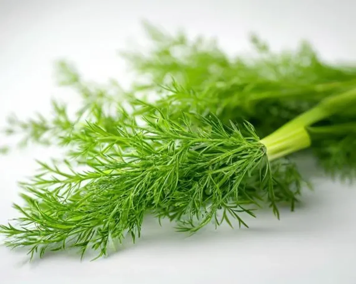 Dill lysine-arginine content for herpes management