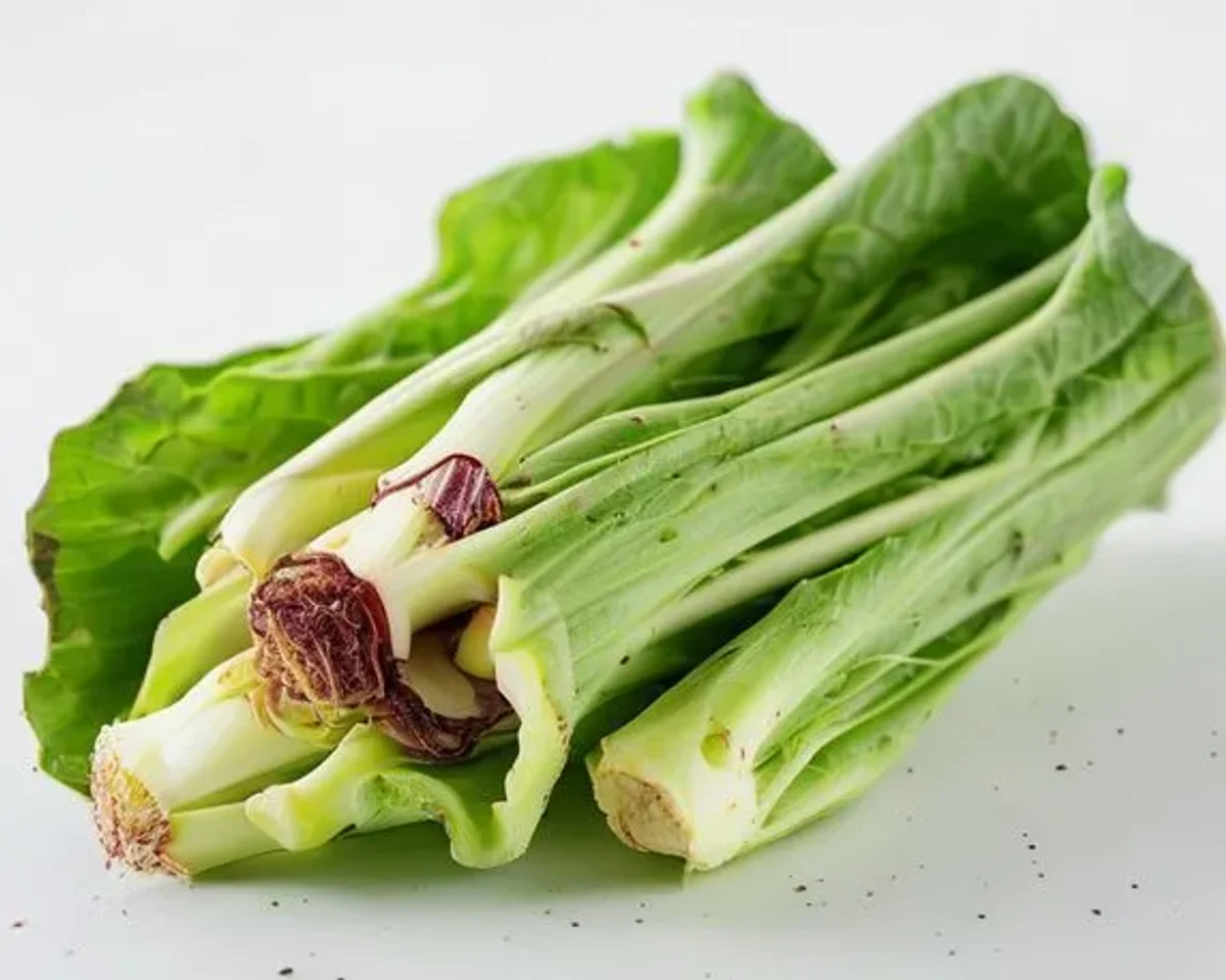 Endive