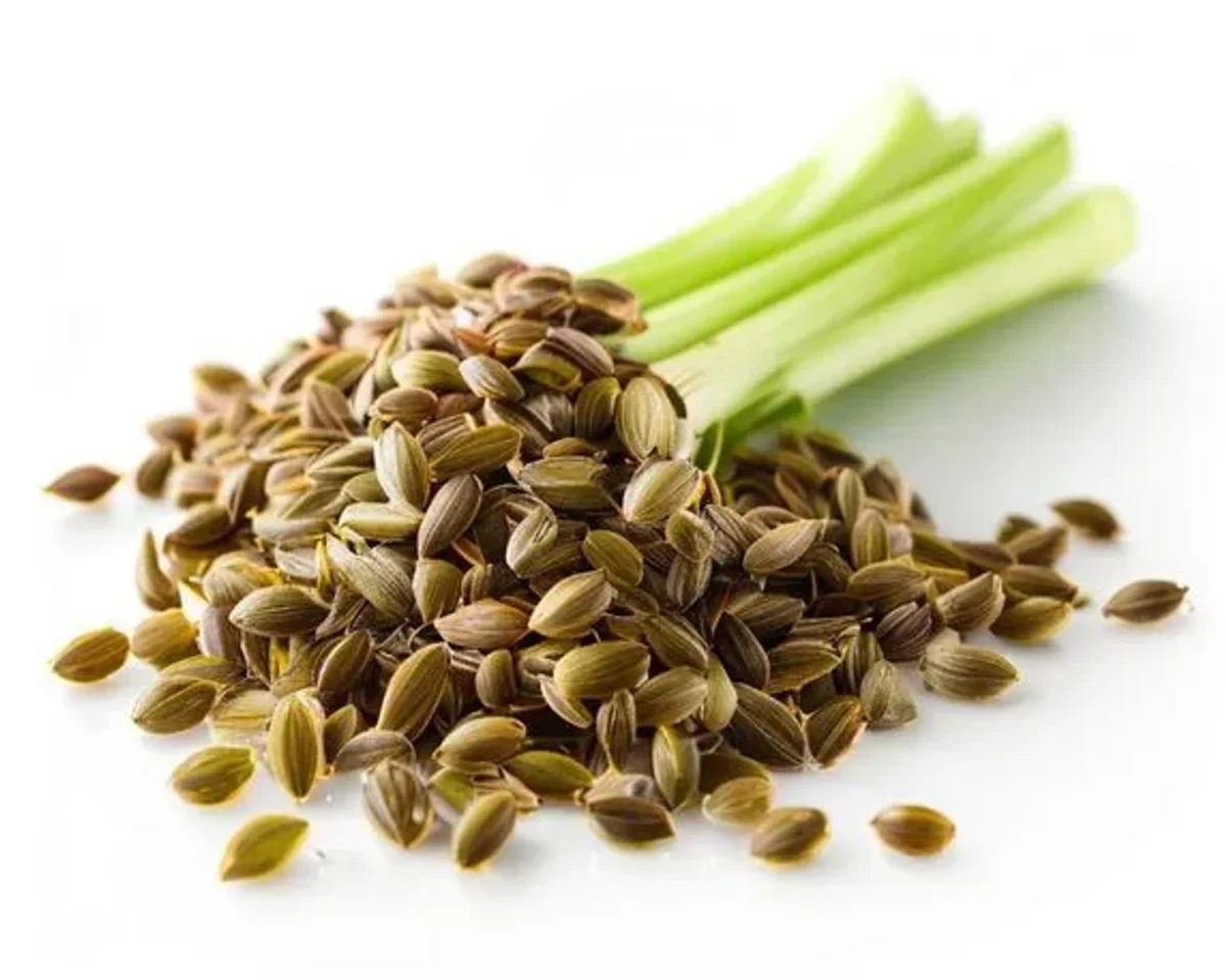Fennel Seeds