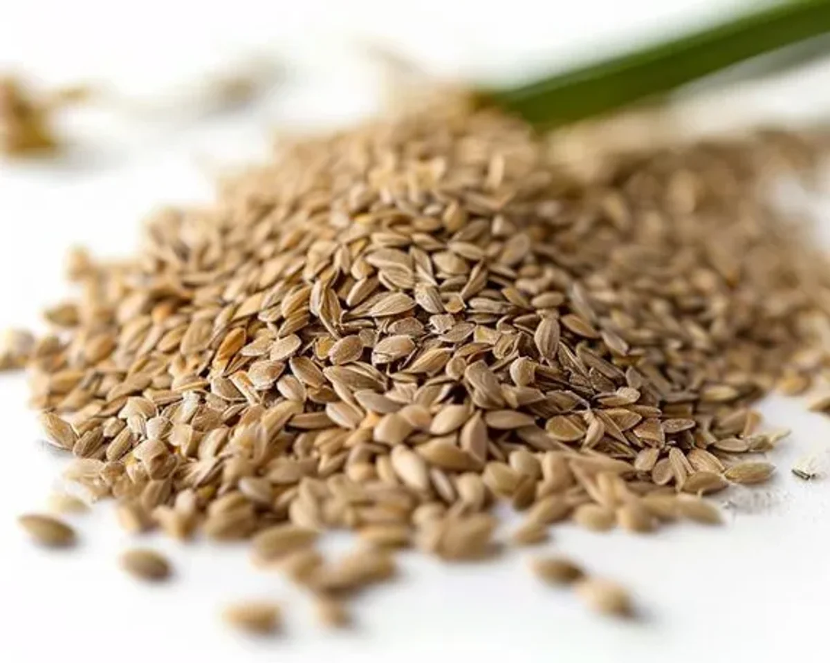 Flax Seeds - Seeds