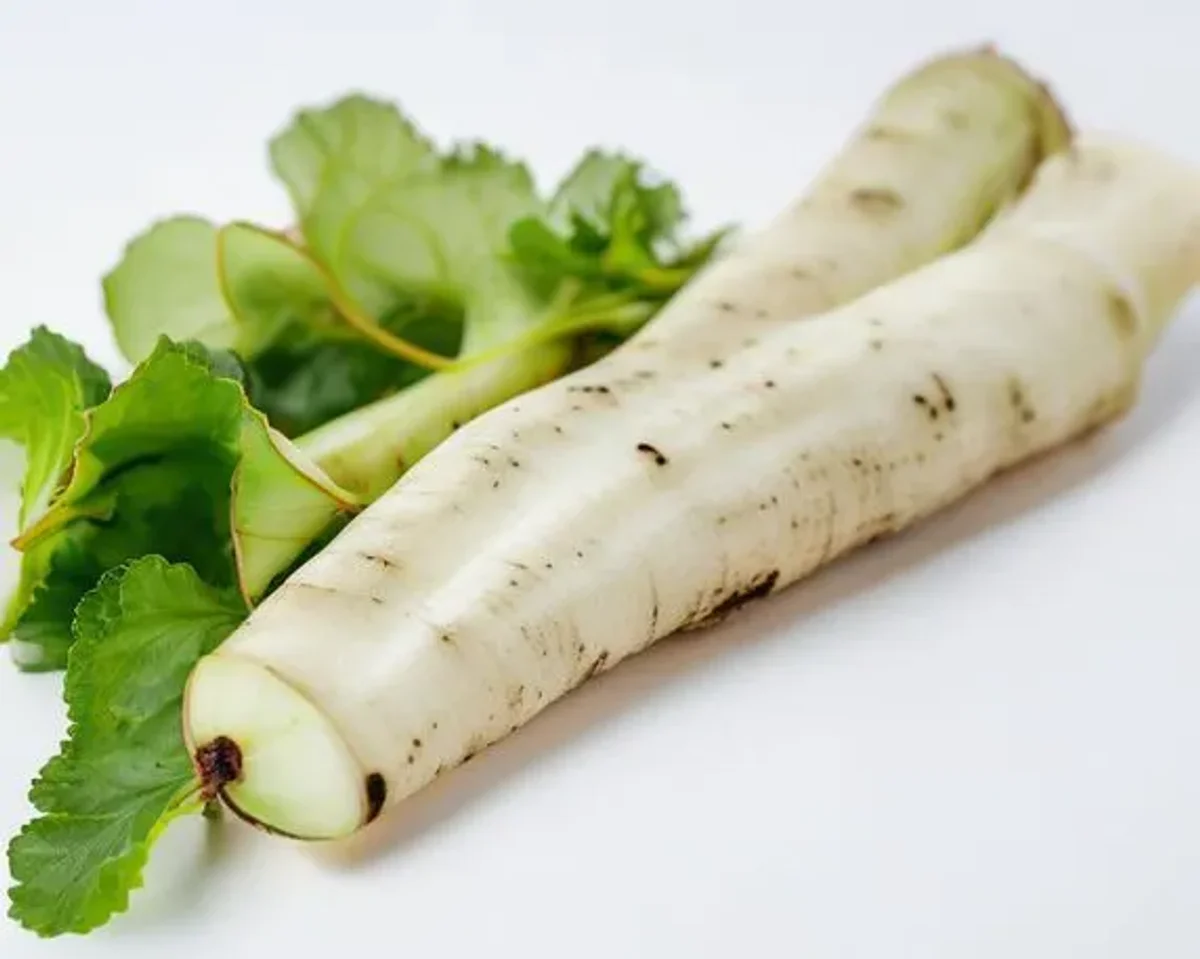 Jicama