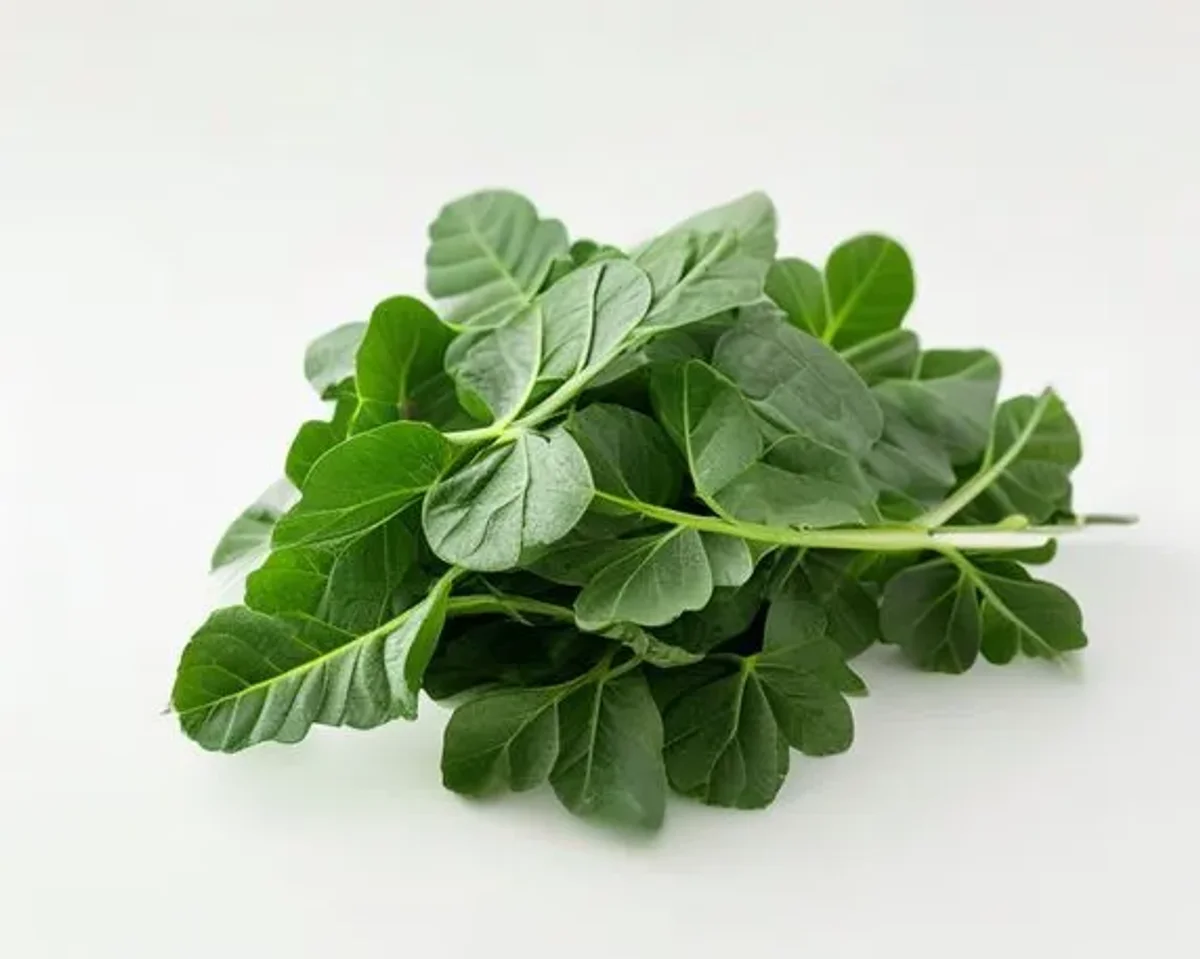 Moringa lysine-arginine content for herpes management