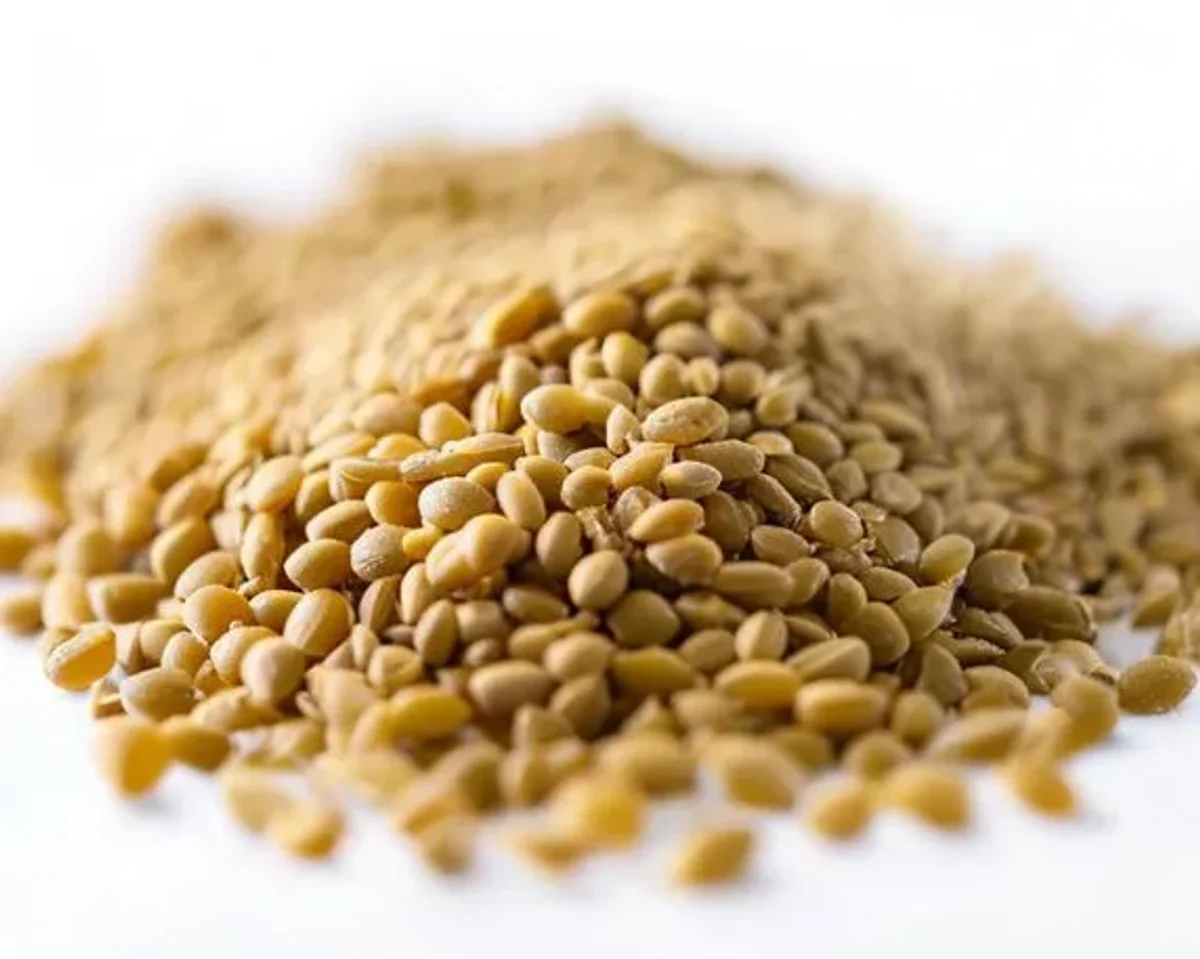 Mustard Seeds