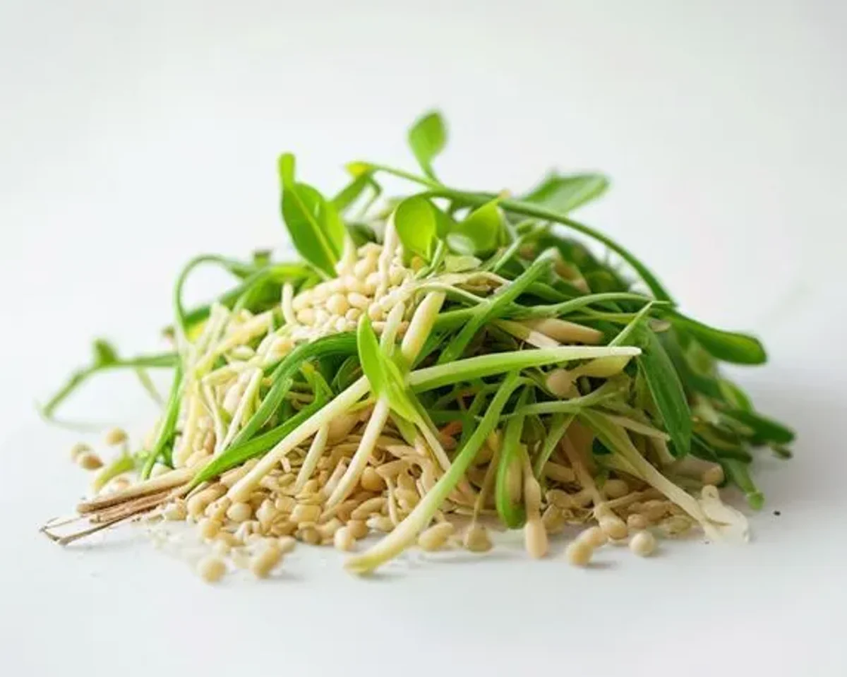 Soybean Sprouts