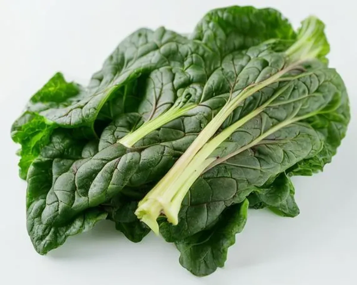 Swiss Chard