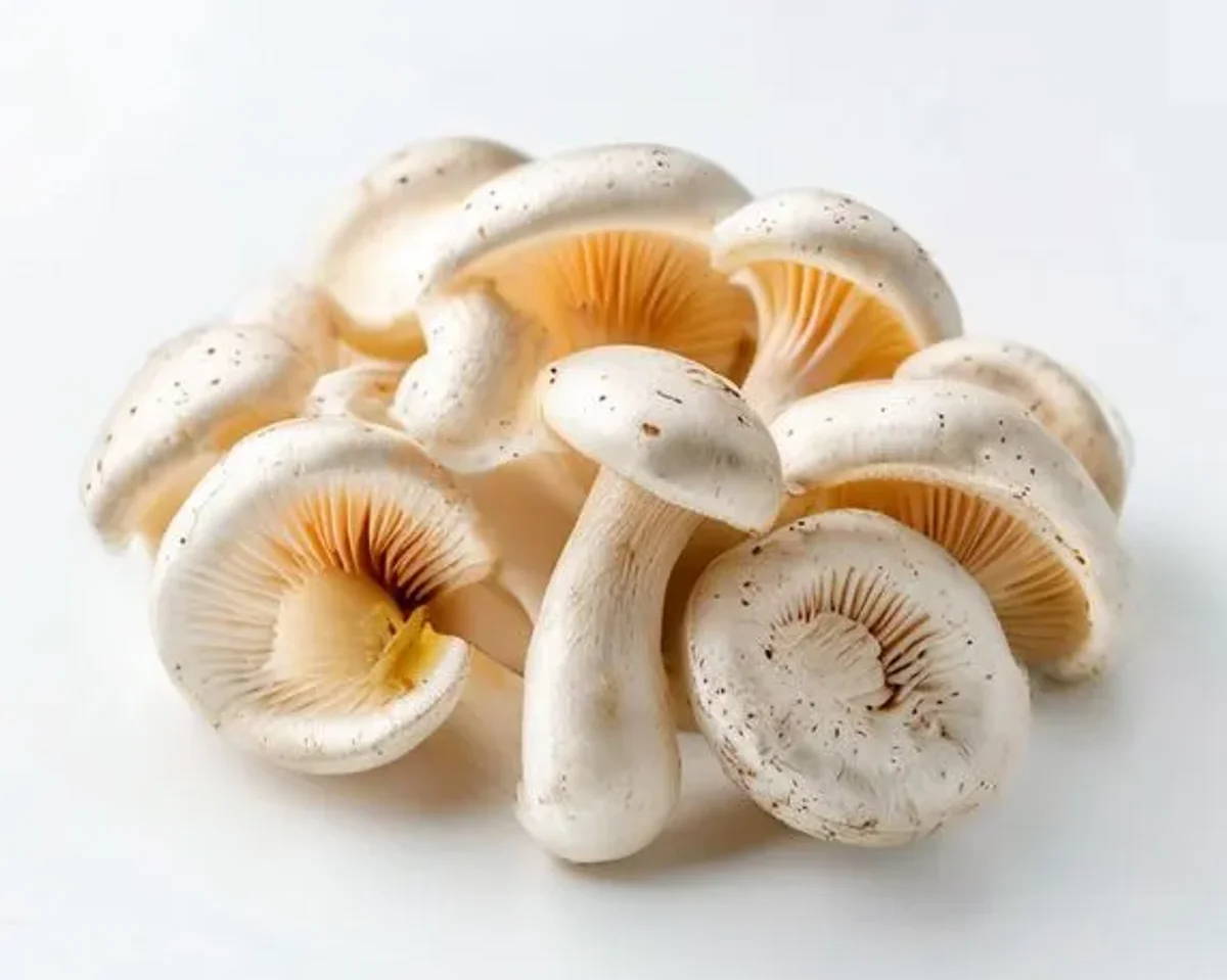 White button mushrooms (raw) lysine-arginine content for herpes management