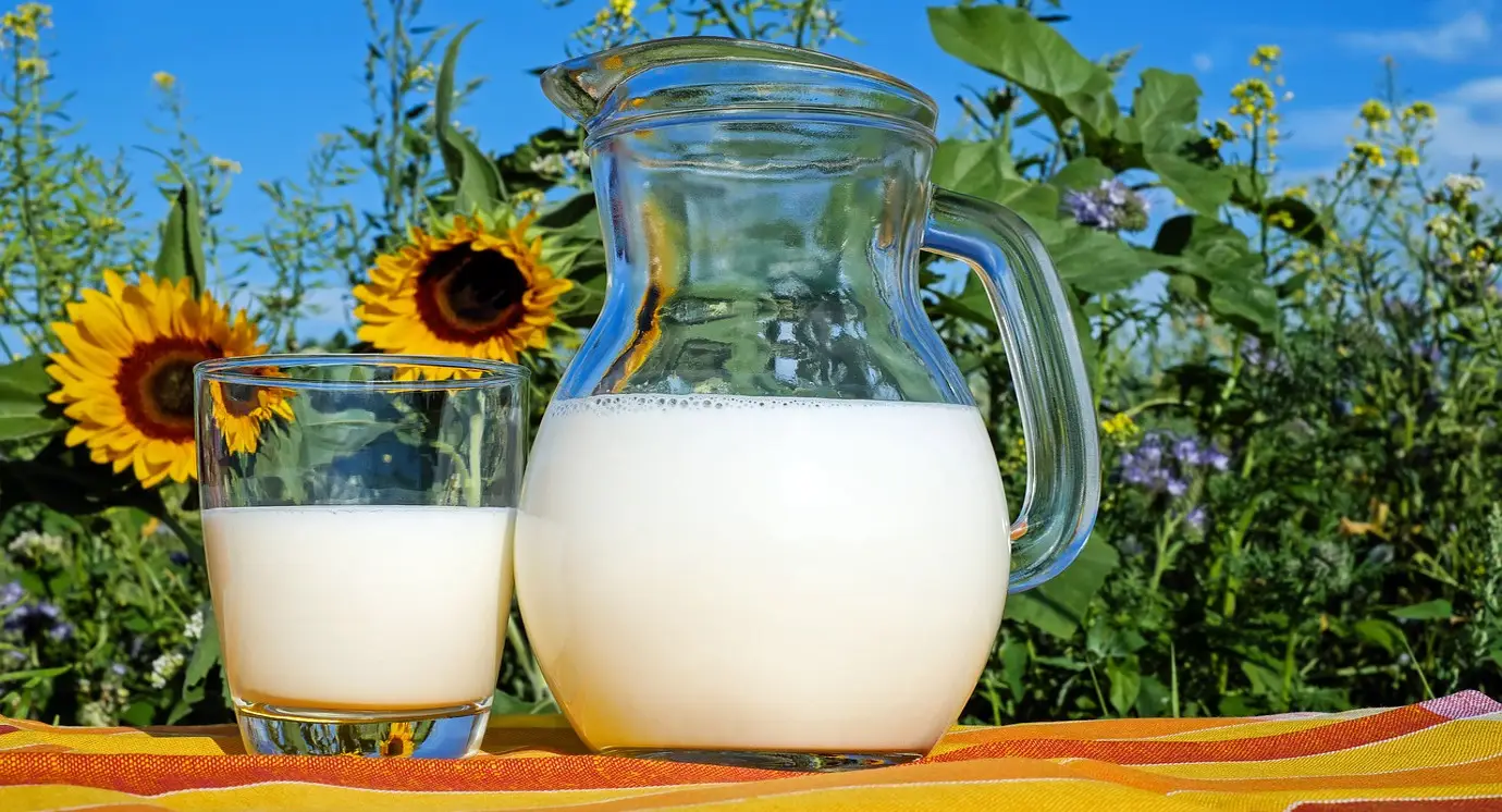 Lysine/Arginine Guide for Lowfat Milk