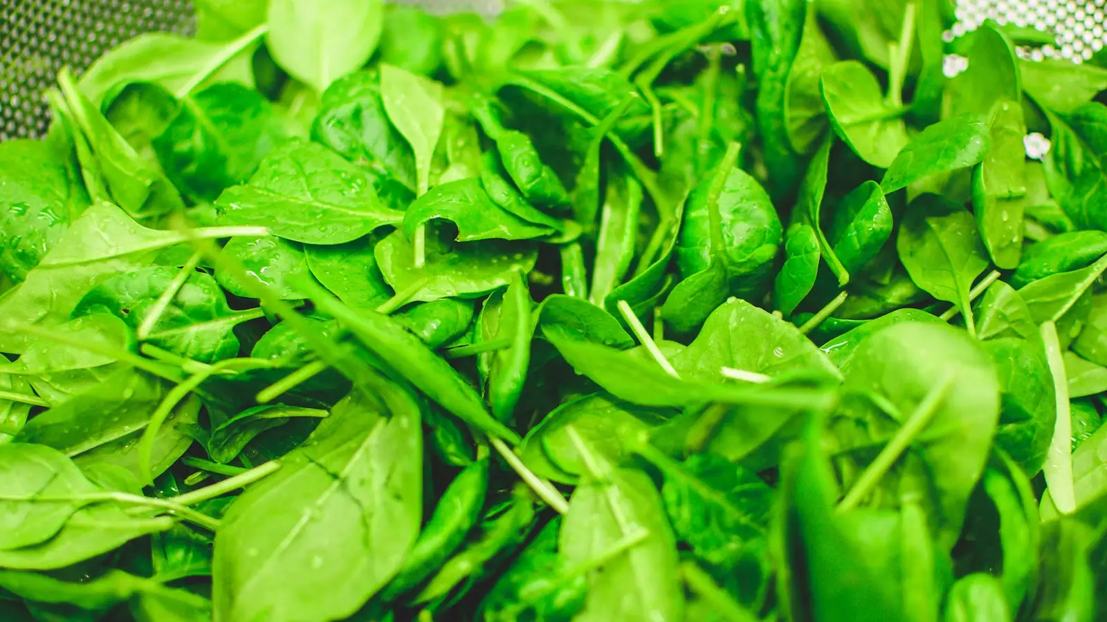 Lysine/Arginine Guide for Spinach