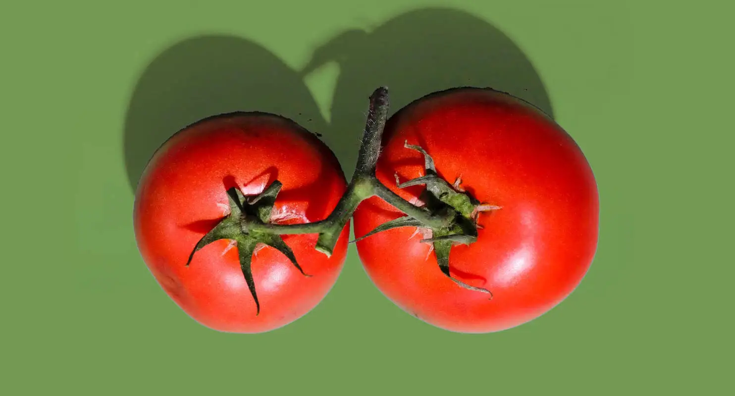 Lysine/Arginine Guide for Tomato Soup